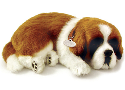 St.Bernard