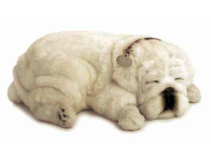 Bulldog White