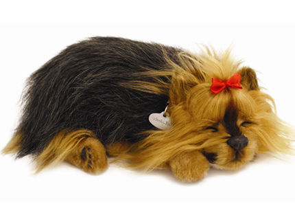 Yorkie