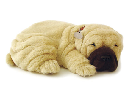 Shar Pei