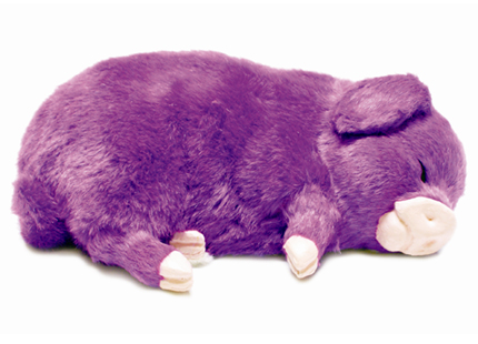 Purple Pig